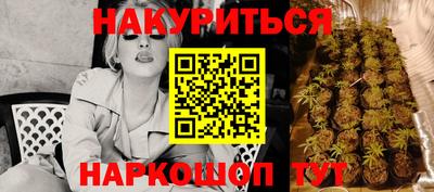 МДПВ Будённовск