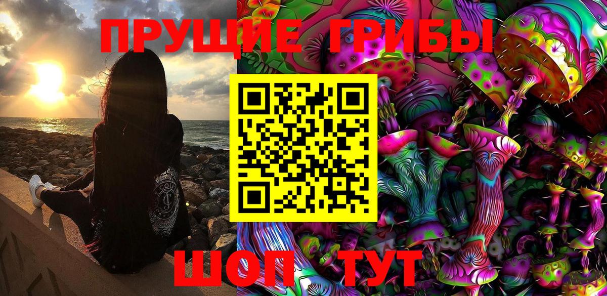Галлюциногенные грибы Psilocybe Семилуки
