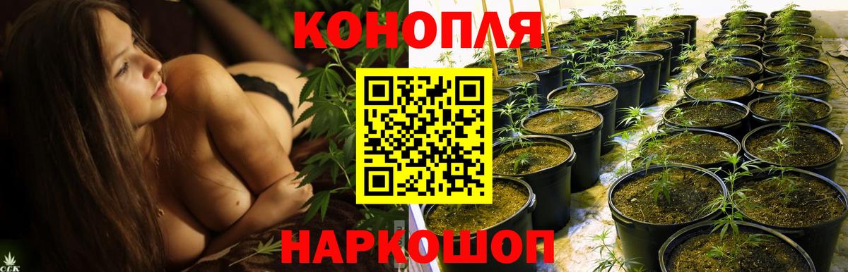 Марихуана сатива  Бошки Шишки AK-47  Вход с VPN  Семилуки 